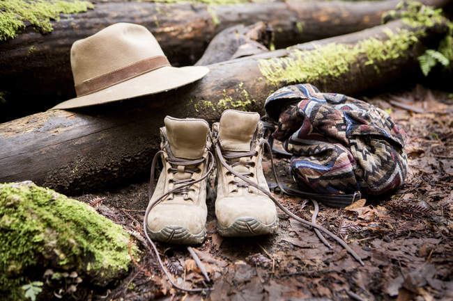 Botas de senderismo y trilby en el suelo del bosque musgoso - foto de stock