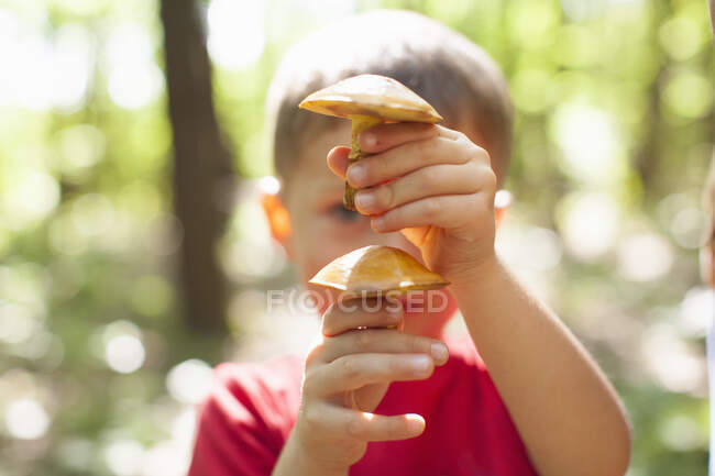 Мальчик играет с грибами в солнечный день в лесу — стоковое фото