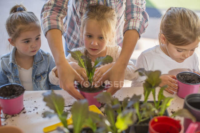 Средняя взрослая женщина помогает маленьким детям с садоводческой деятельностью — стоковое фото