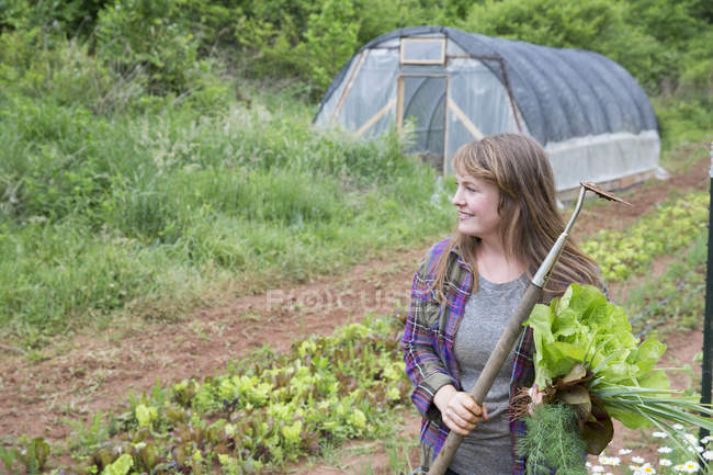 Woman holding hoe and plants in vegetable garden — Stock Photo
