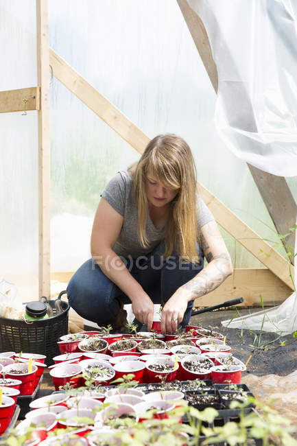 Mujer sentada en invernadero y tendiendo a las plántulas - foto de stock