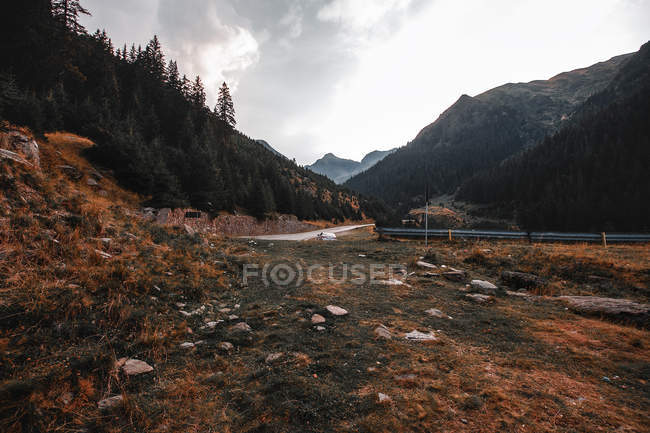 Estrada vazia entre montanhas floresta — Fotografia de Stock