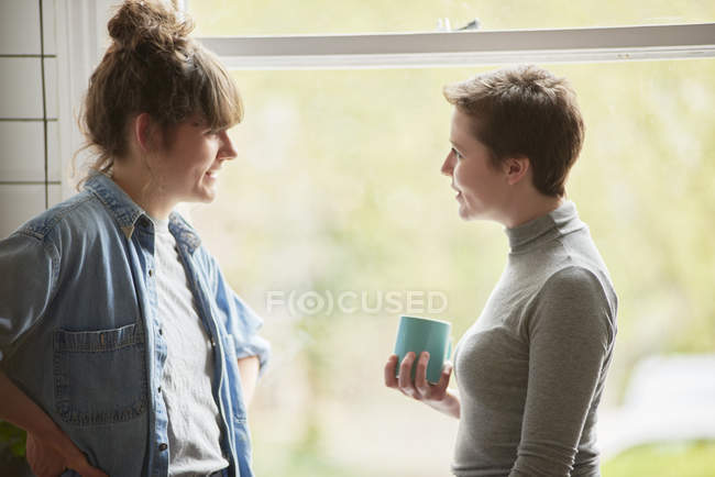 Vista lateral de duas amigas conversando na cozinha — Fotografia de Stock