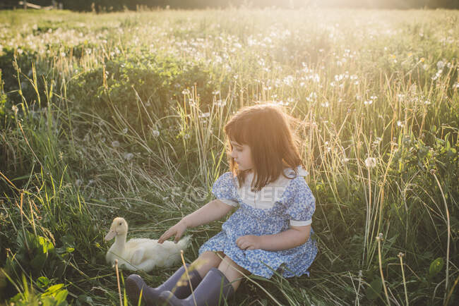 Young girl in field, stroking duck — Stock Photo