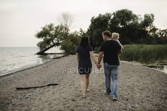 Задній вид пара гуляють вздовж пляжу з чоловічий малюк сина, озера Онтаріо, Канада — стокове фото