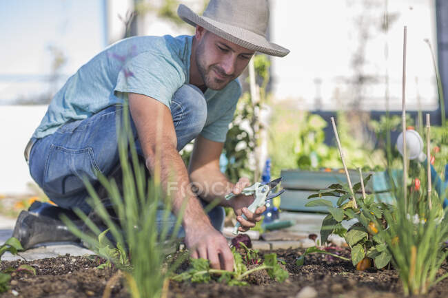 Giovane uomo che tende a piante in giardino — Foto stock