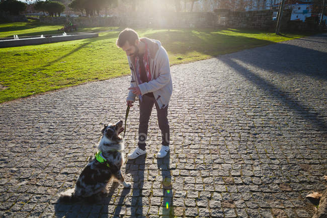 Vue latérale de l'homme dressant chien dans le parc de la ville — Photo de stock