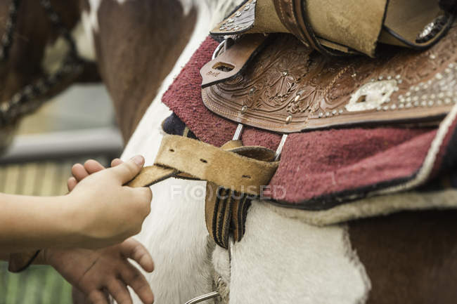 Jovem mulher sela cavalo, close-up — Fotografia de Stock