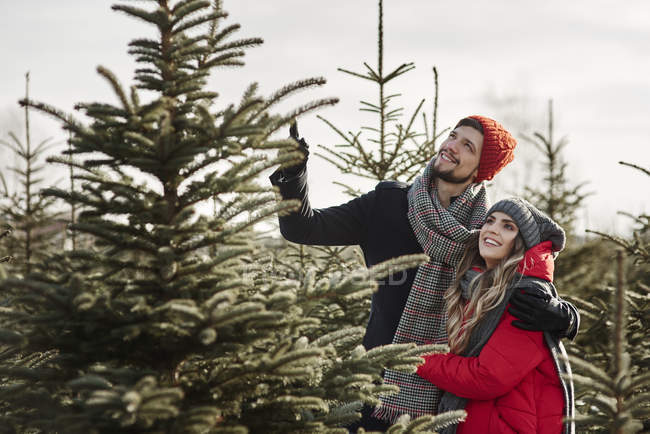 Junges Paar sucht sich Weihnachtsbaum aus Wald aus — Stockfoto