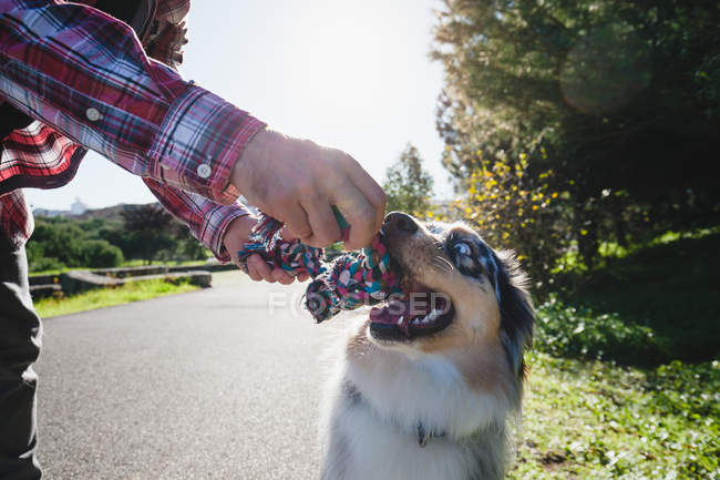 Man and dog playing with rope in park, cropped — Stock Photo