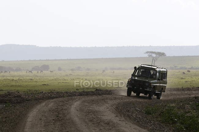 Jeep pendant le safari, réserve nationale du Masai Mara, Kenya — Photo de stock