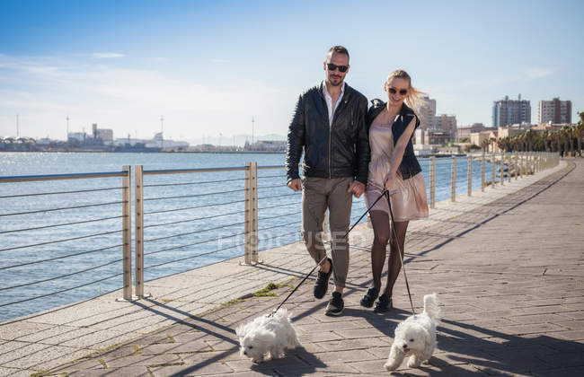 Pareja paseando con perros en el paseo marítimo, Cagliari, Cerdeña, Italia, Europa - foto de stock