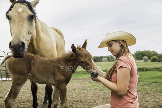 Mujer joven en la granja, potro acariciando, caballo de pie junto a potro - foto de stock