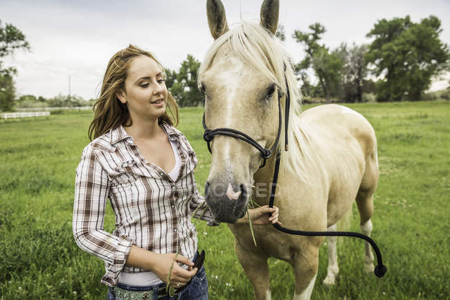 Молодая женщина с лошадью в поле ранчо, Бриджер, Монтана, США — стоковое фото