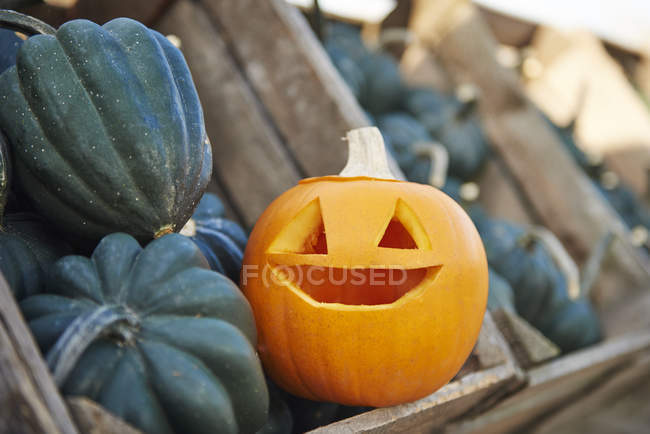 Carved halloween pumpkin in crate with vegetable squashes — Stock Photo