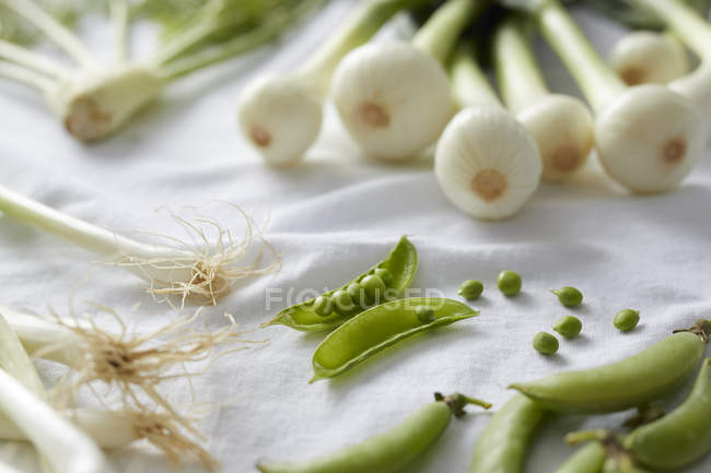 Close-up view of fresh vegetables on white tablecloth — Stock Photo