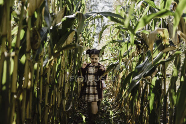 Девушка в кукурузном поле, Ошава, Канада, Северная Америка — стоковое фото