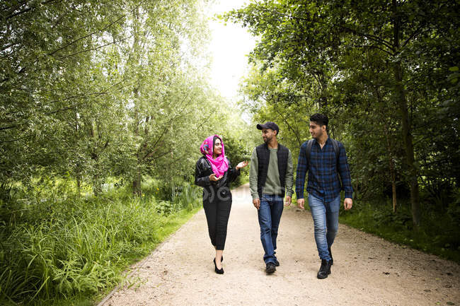 Tre amici che camminano sul sentiero nel parco — Foto stock