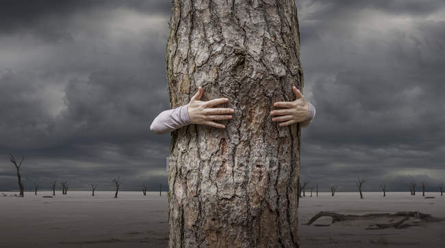 Cropped image of Woman hugging tree, Namibia, Africa — Stock Photo