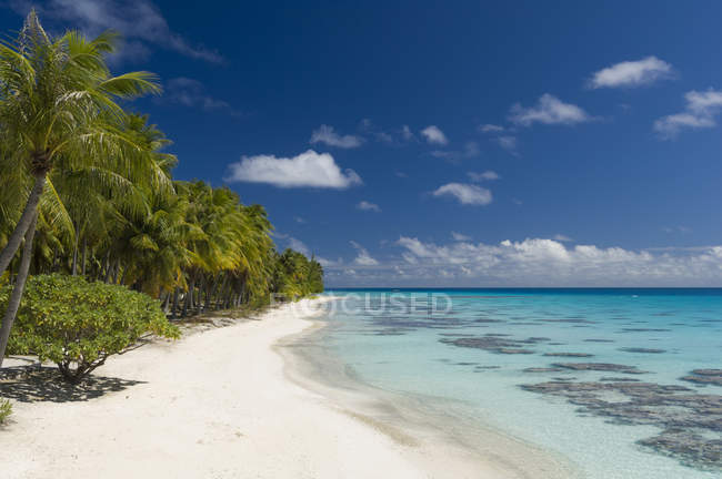 Playa de arena blanca, palmeras y mar azul, Fakarava, Archipiélago de Tuamotu, Polinesia Francesa - foto de stock