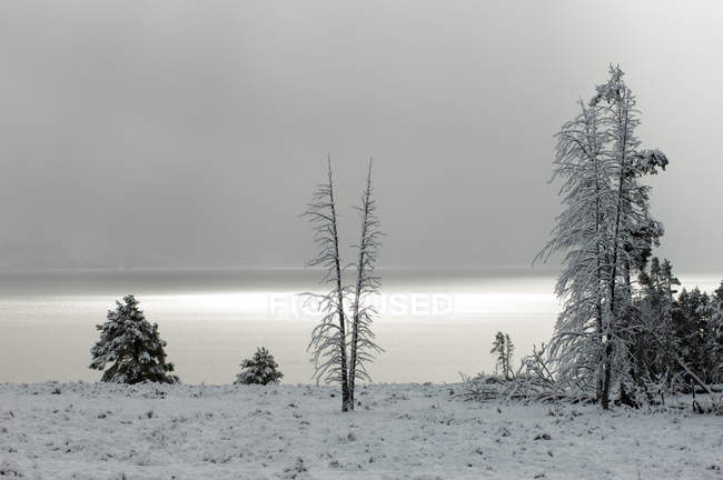 Озеро Йеллоустоун после снегопада, Национальный парк Йеллоустоун, штат Вайоминг, США — стоковое фото