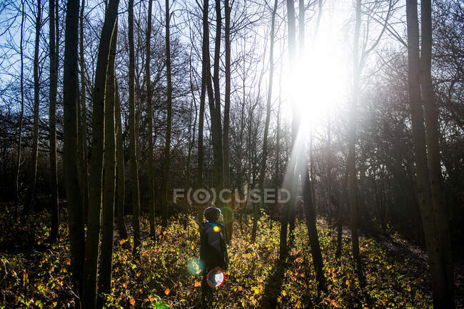 Молодий хлопчик стоїть в лісі, дивлячись на сонце через дерева — стокове фото