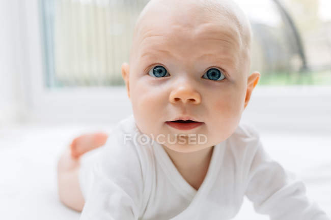 Портрет ползающей малышки, смотрящей в камеру — стоковое фото