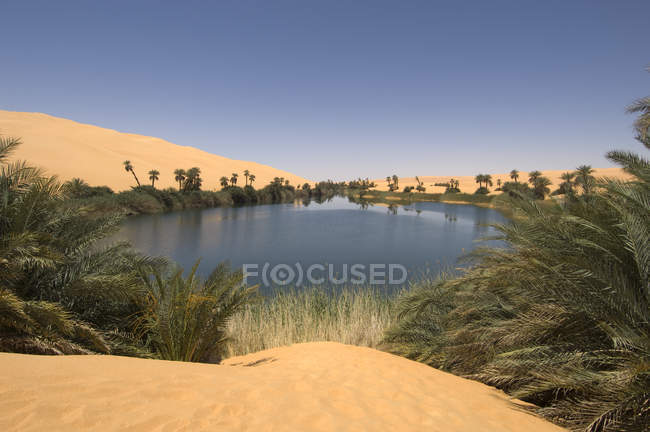 Lac d'Umm El Ma, Erg Awbari, désert du Sahara, Fezzan, Libye — Photo de stock