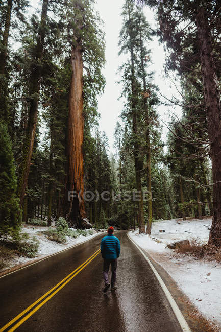 Männliche Wanderer entlang ländlicher Straße im verschneiten Mammutbaum-Nationalpark, Kalifornien, USA — Stockfoto