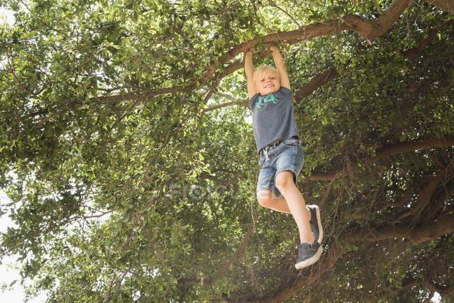 Низький кут зору усміхненого хлопчика, що висить з гілки дерева і дивиться на камеру — стокове фото