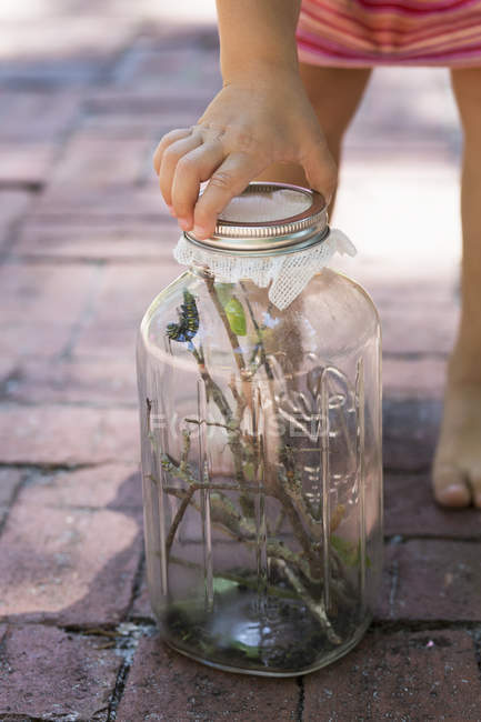 Cropped shot of girl's hand fastening caterpillar jar in garden — Stock Photo