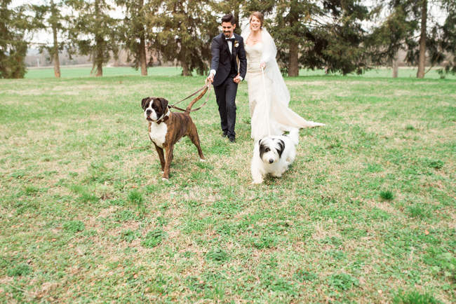 Retrato de novia y novio con perros - foto de stock