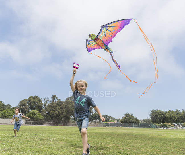 Хлопчик літає барвистий повітряний змій на зеленому полі — стокове фото