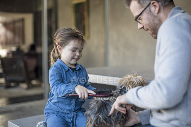 Chica y padre aseo perro de mascotas en la sala de estar - foto de stock