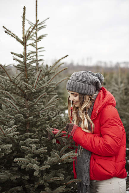 Jovem mulher olhando para agulhas de pinheiro enquanto faz compras para árvore de natal da floresta — Fotografia de Stock