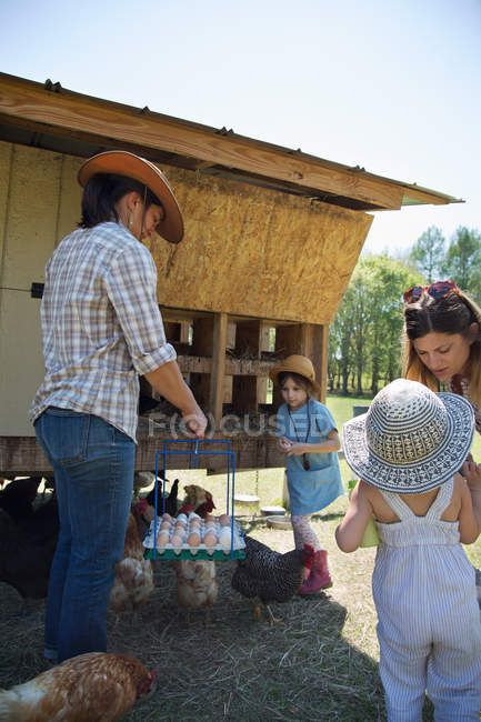 Familia trabajando en la granja, recogiendo huevos del gallinero - foto de stock