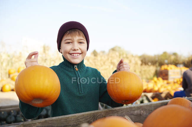 Boy holding harvested pumpkins in field — Stock Photo