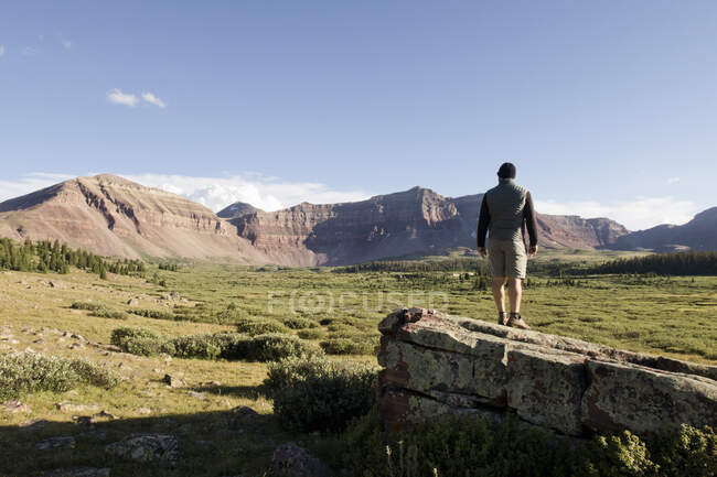 Hombre excursionista mirando hacia el paisaje y las montañas, Wasatch-Cache National Forest, Utah, EE.UU. - foto de stock