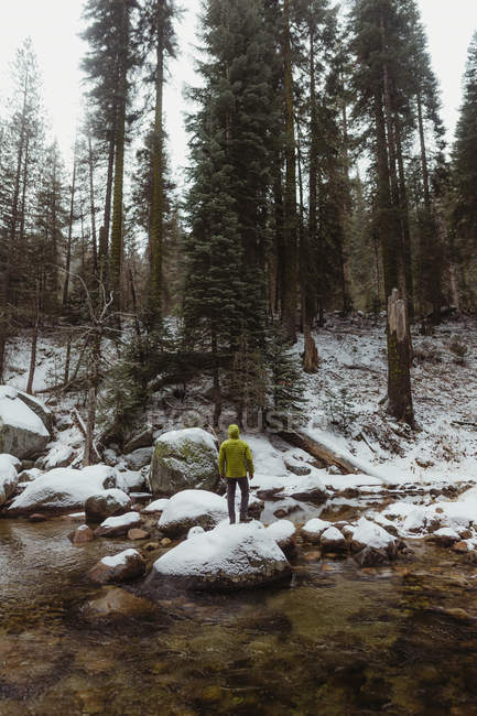 Задній вид чоловічого мандрівного, дивлячись на засніжений ліс від Рівер, села Йосеміті, Каліфорнія, США — стокове фото