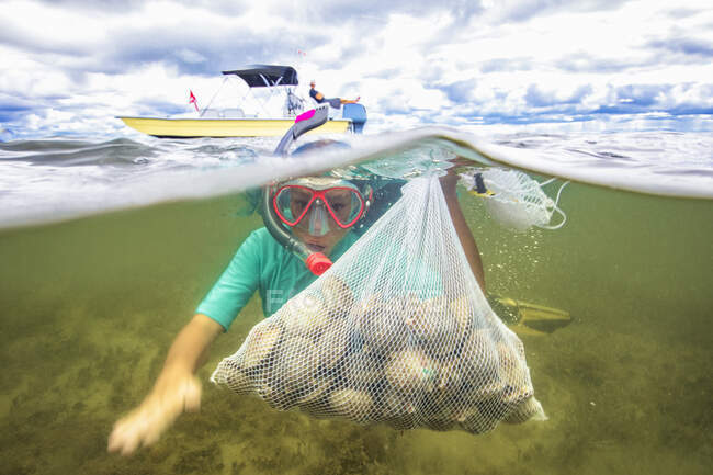 Girl collecting scallops in grass meadow underwater — Stock Photo