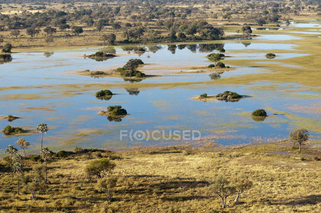 Прекрасный вид с воздуха на дельту Окаванго, Ботсвана — стоковое фото