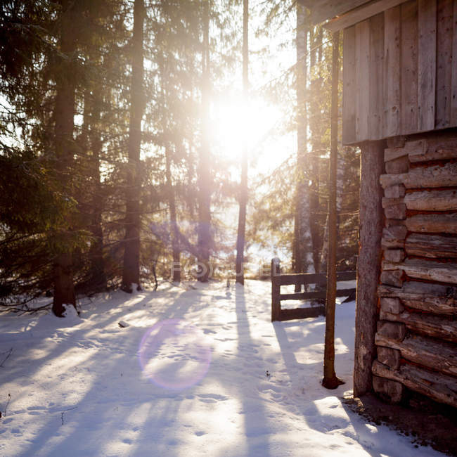 Baita in legno con luce solare, Ural, Sverdlovsk, Russia — Foto stock