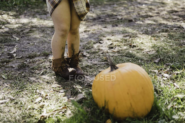Cropped view of girl with pumpkin — Stock Photo