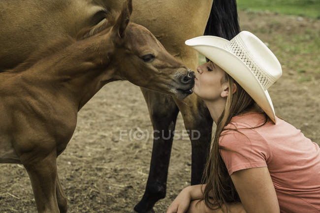 Молодая женщина приседает, целует жеребенка — стоковое фото