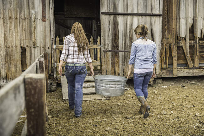 Vista trasera de dos mujeres jóvenes que llevan alimento para animales al granero del rancho, Bridger, Montana, EE.UU. - foto de stock