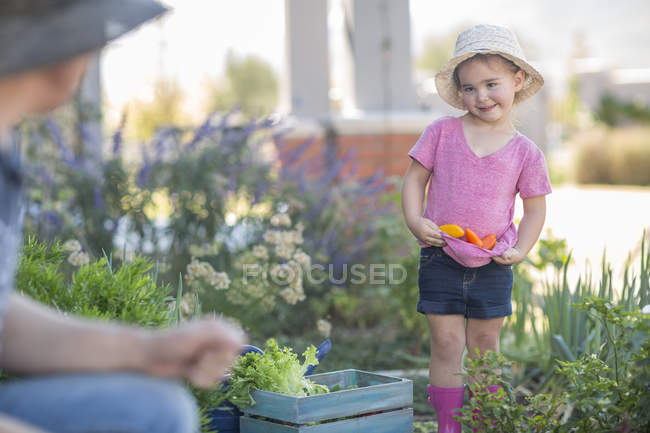 Отец и дочь в саду собирают овощи — стоковое фото