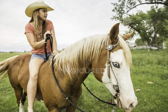 Jovem mulher montando bareback no cavalo no campo de fazenda, Bridger, Montana, EUA — Fotografia de Stock