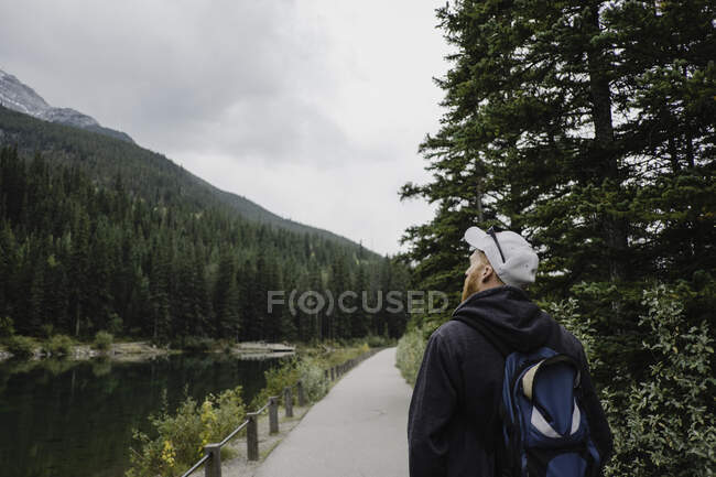 Человек, глядящий вдаль на горы и деревья, Кэнмор, Канада, Северная Америка — стоковое фото