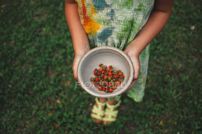 Junges Mädchen hält Schale mit Beeren in der Hand, erhöhter Blick, niedriger Schnitt — Stockfoto