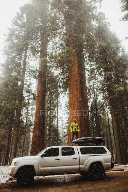 Jeune homme debout au sommet de la voiture dans le parc national enneigé Sequoia, Californie, États-Unis — Photo de stock